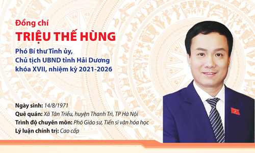 [Infographics] Đồng chí Triệu Thế Hùng, Phó Bí thư Tỉnh ủy, Chủ tịch UBND tỉnh khóa XVII 
